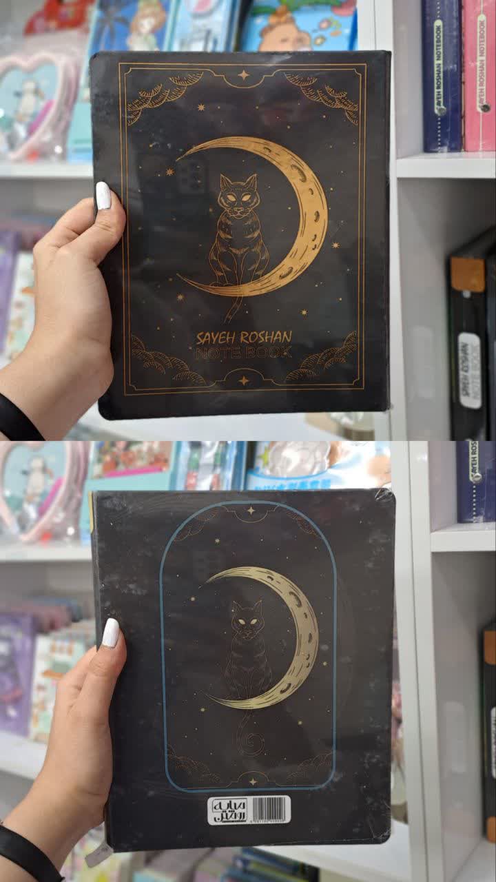 کلاسور طلاکوب